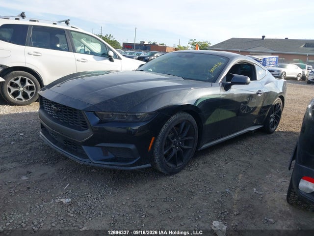 Ford Mustang Ecoboost 2024 1FA6P8TH5R5137589 Image 13