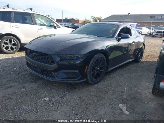 Ford Mustang Ecoboost 2024 1FA6P8TH5R5137589 Image 2
