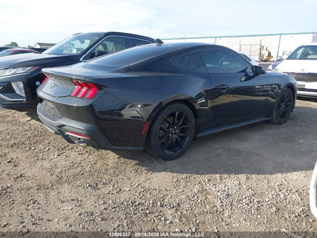 Ford Mustang Ecoboost 2024 1FA6P8TH5R5137589 Image 4