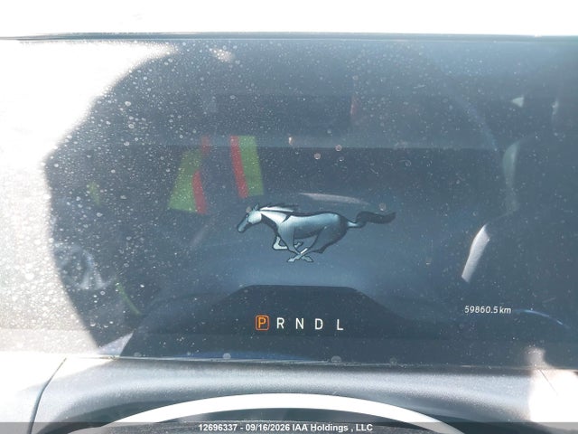 Ford Mustang Ecoboost 2024 1FA6P8TH5R5137589 Image 7