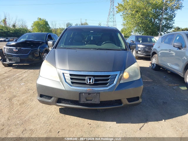 Продажа на аукционе авто 2008 Honda Odyssey Exl, vin: 5FNRL38628B506208, номер лота: 12696340