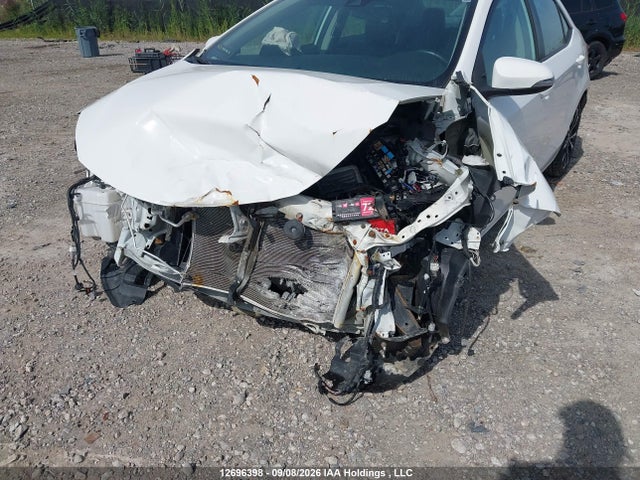 Продажа на аукционе авто 2019 Toyota Corolla L/le/xle/se/xse, vin: 2T1BURHE3KC167057, номер лота: 12696398