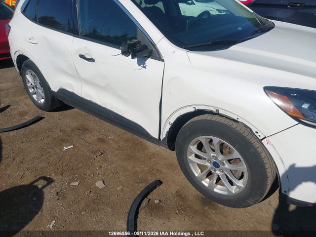 Продаж на аукціоні авто 2020 Ford Escape Se, vin: 1FMCU0G69LUB50886, номер лоту: 12696556