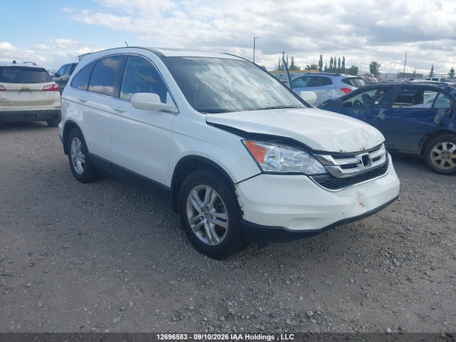 Auction sale of the 2011 Honda Cr-v Exl, vin: 5J6RE4H70BL810354, lot number: 12696583