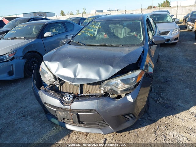 2T1BURHE3GC531047 Toyota COROLLA LE