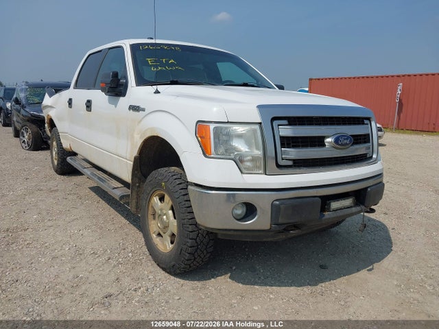 12659048 :رقم المزاد ، 1FTFW1EF2DFD29054 vin ، 2013 Ford F-150 Xlt مزاد بيع