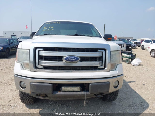 Продажа на аукционе авто 2013 Ford F-150 Xlt, vin: 1FTFW1EF2DFD29054, номер лота: 12659048