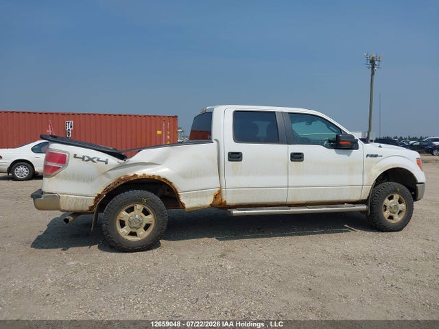 Продажа на аукционе авто 2013 Ford F-150 Xlt, vin: 1FTFW1EF2DFD29054, номер лота: 12659048