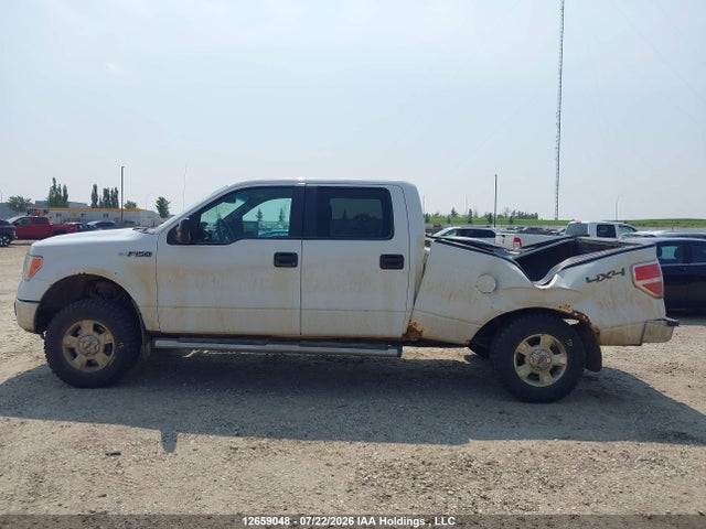 Продажа на аукционе авто 2013 Ford F-150 Xlt, vin: 1FTFW1EF2DFD29054, номер лота: 12659048
