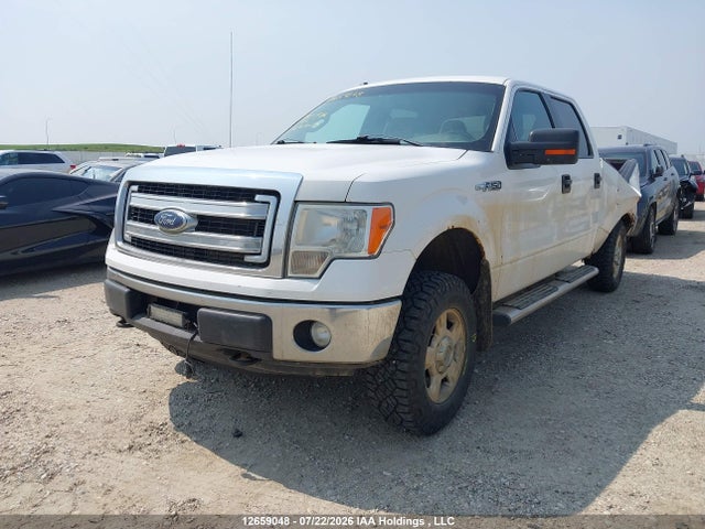 Продажа на аукционе авто 2013 Ford F-150 Xlt, vin: 1FTFW1EF2DFD29054, номер лота: 12659048
