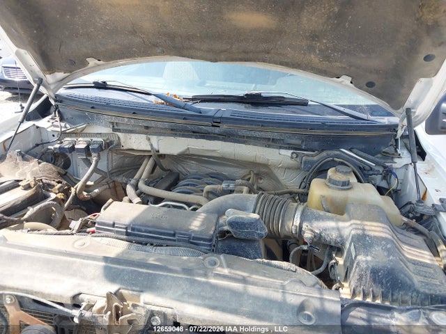 Продажа на аукционе авто 2013 Ford F-150 Xlt, vin: 1FTFW1EF2DFD29054, номер лота: 12659048