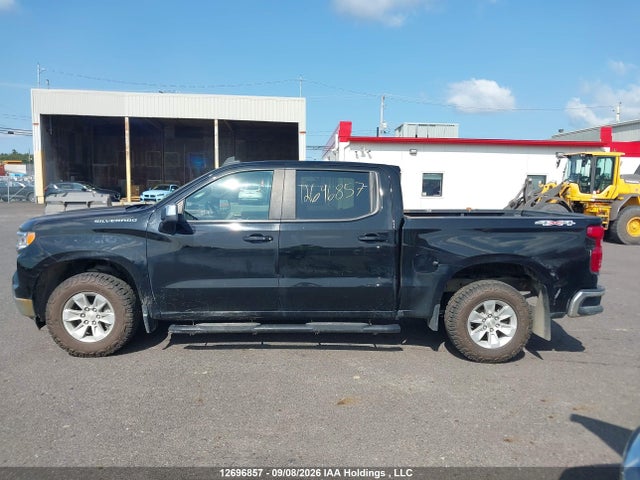 Продаж на аукціоні авто 2023 Chevrolet Silverado K1500 Lt, vin: 2GCUDDED3P1141717, номер лоту: 12696857