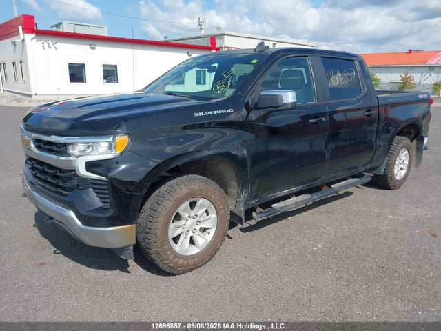 Продаж на аукціоні авто 2023 Chevrolet Silverado K1500 Lt, vin: 2GCUDDED3P1141717, номер лоту: 12696857