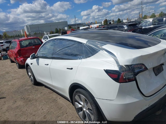 Продажа на аукционе авто 2021 Tesla Model Y Long Range, vin: 5YJYGAEE7MF186345, номер лота: 12696913