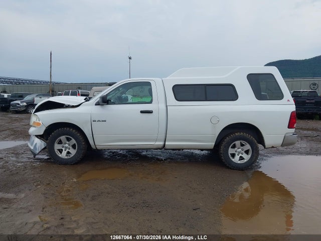 2010 Dodge Ram 1500 Slt მანქანა იყიდება აუქციონზე, vin: 3D7JV1EP0AG117629, აუქციონის ნომერი: 12667064