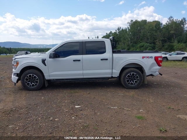 12679346 :رقم المزاد ، 1FTEW1EP4NFA33426 vin ، 2022 Ford F-150 Xl مزاد بيع