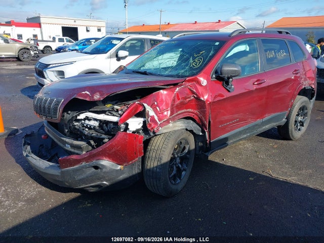 Jeep Cherokee Trailhawk 2019 1C4PJMBX4KD196419 Image 2