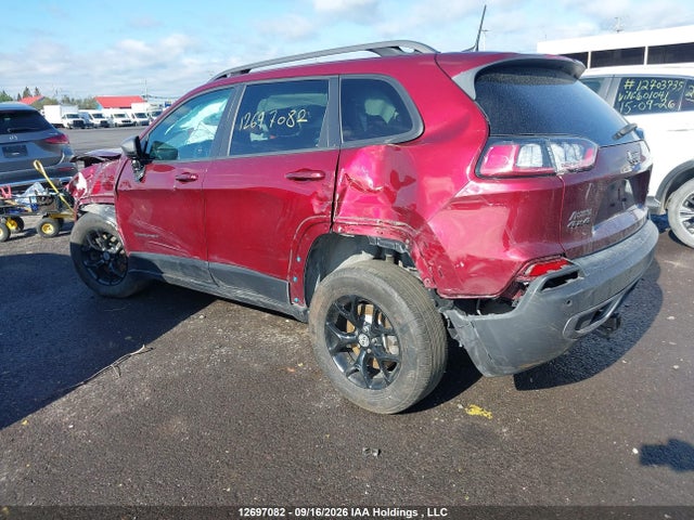 Jeep Cherokee Trailhawk 2019 1C4PJMBX4KD196419 Image 3