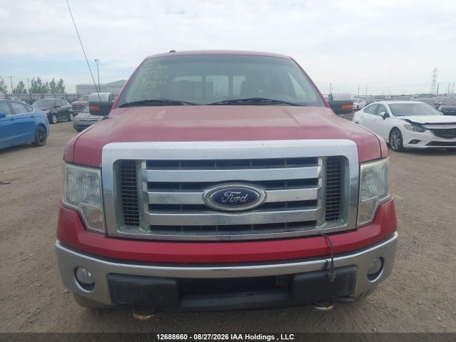 2010 Ford F-150 Fx4/harley-davidson/lariat/xlt მანქანა იყიდება აუქციონზე, vin: 1FTFW1EV5AFD07357, აუქციონის ნომერი: 12688660