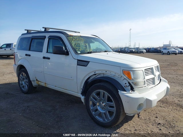 12697165 :رقم المزاد ، 1D8GU58X39W508427 vin ، 2009 Dodge Nitro R/t مزاد بيع