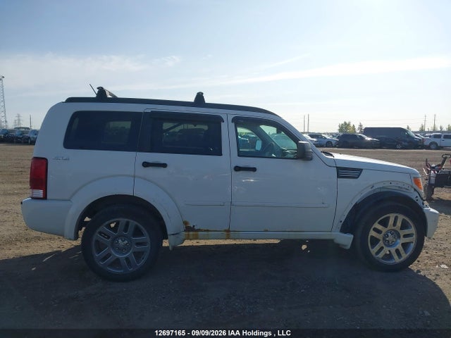 12697165 :رقم المزاد ، 1D8GU58X39W508427 vin ، 2009 Dodge Nitro R/t مزاد بيع