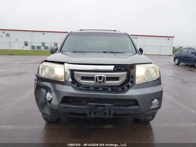 12697435 :رقم المزاد ، 5FNYF4H51BB506188 vin ، 2011 Honda Pilot Ex-l مزاد بيع