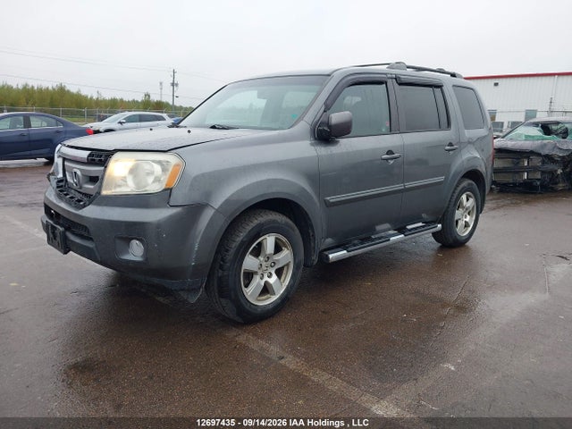 12697435 :رقم المزاد ، 5FNYF4H51BB506188 vin ، 2011 Honda Pilot Ex-l مزاد بيع