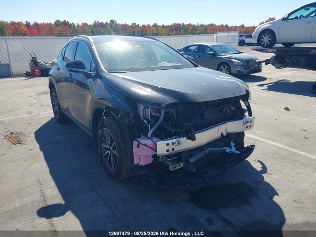 Продажа на аукционе авто 2026 Lexus Nx 350h 350h, vin: 2T2GKCEZ0TC072985, номер лота: 12697479