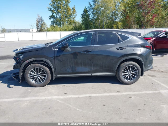 Продаж на аукціоні авто 2026 Lexus Nx 350h 350h, vin: 2T2GKCEZ0TC072985, номер лоту: 12697479