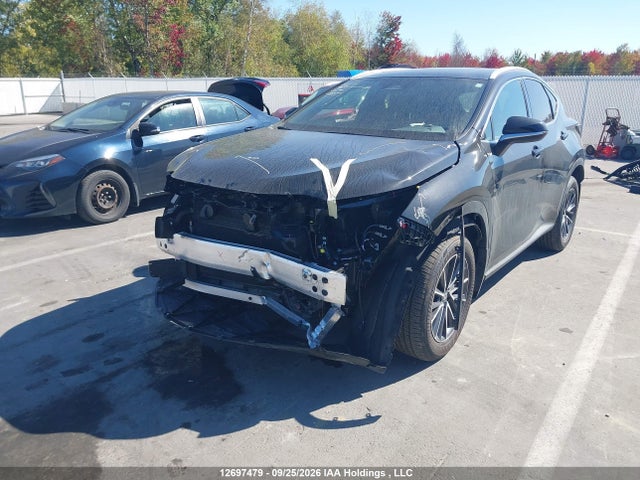 Продаж на аукціоні авто 2026 Lexus Nx 350h 350h, vin: 2T2GKCEZ0TC072985, номер лоту: 12697479