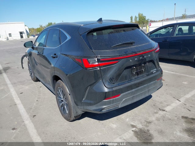 Продаж на аукціоні авто 2026 Lexus Nx 350h 350h, vin: 2T2GKCEZ0TC072985, номер лоту: 12697479