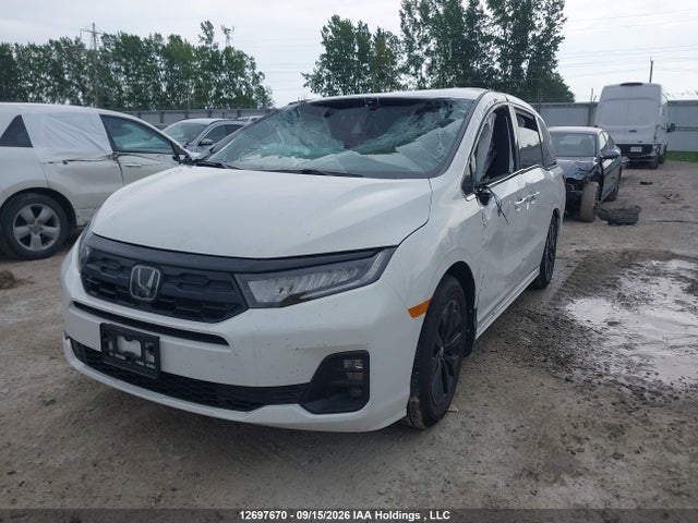 Продаж на аукціоні авто 2026 Honda Odyssey Sport-l, vin: 5FNRL6H71TB501049, номер лоту: 12697670