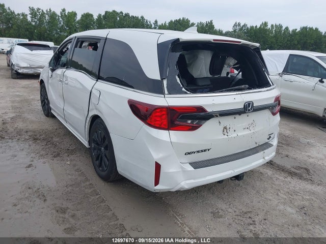 Продаж на аукціоні авто 2026 Honda Odyssey Sport-l, vin: 5FNRL6H71TB501049, номер лоту: 12697670