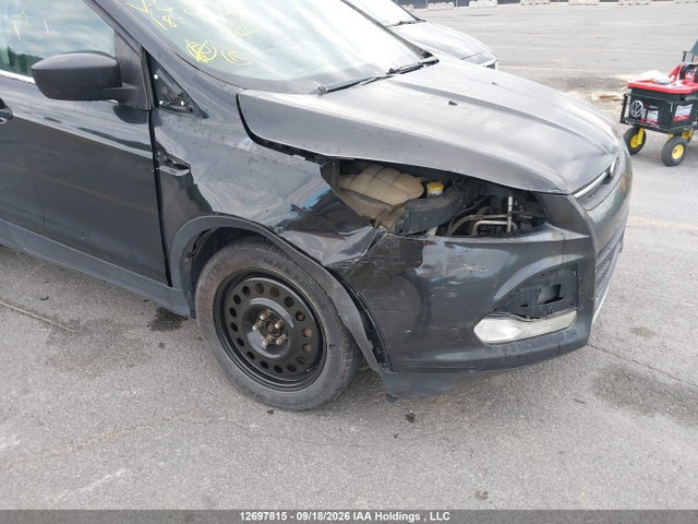 Ford ESCAPE SE 2014 1FMCU9G93EUC25440 Image 6