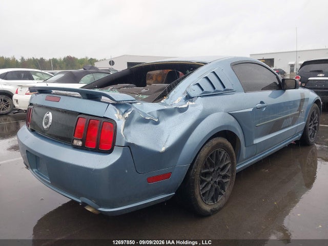 2005 Ford Mustang Gt მანქანა იყიდება აუქციონზე, vin: 1ZVFT82H155118603, აუქციონის ნომერი: 12697850