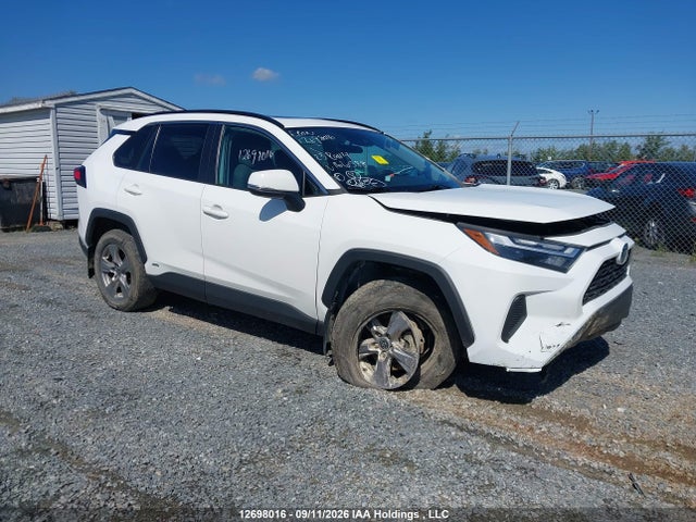 12698016 :رقم المزاد ، 2T3RWRFV6PW166588 vin ، 2023 Toyota Rav4 Hybrid مزاد بيع