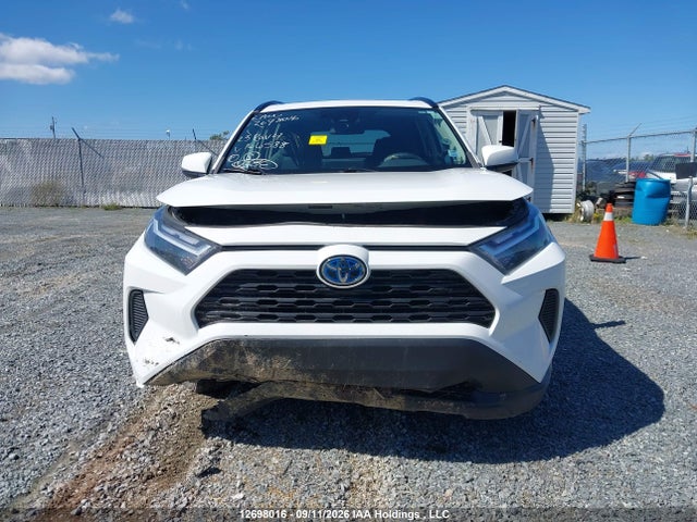 12698016 :رقم المزاد ، 2T3RWRFV6PW166588 vin ، 2023 Toyota Rav4 Hybrid مزاد بيع