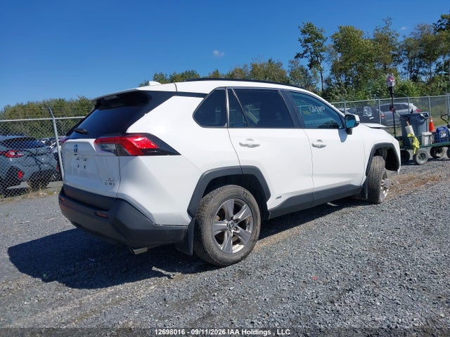 12698016 :رقم المزاد ، 2T3RWRFV6PW166588 vin ، 2023 Toyota Rav4 Hybrid مزاد بيع