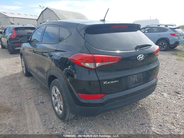 Hyundai Tucson 2016 KM8J23A40GU181150 Image 3