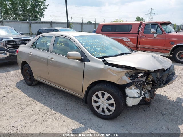 12680349 :رقم المزاد ، 2T1BU4EE5AC335061 vin ، 2010 Toyota Corolla S/le/xle مزاد بيع