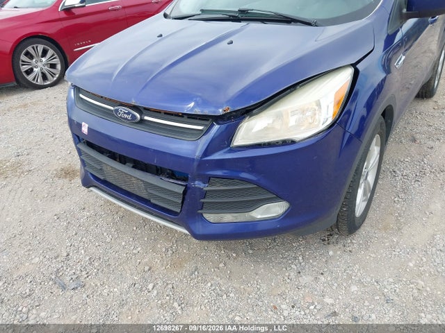Ford ESCAPE SE 2014 1FMCU0GX0EUB02804 Image 6