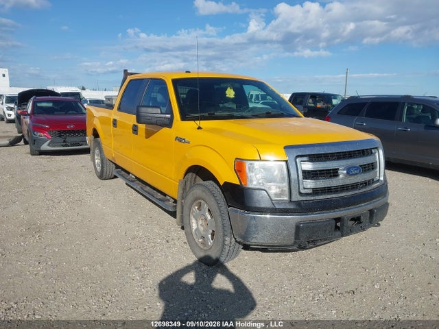 Продажа на аукционе авто 2013 Ford F150 Supercrew, vin: 1FTFW1EF8DKF99946, номер лота: 12698349
