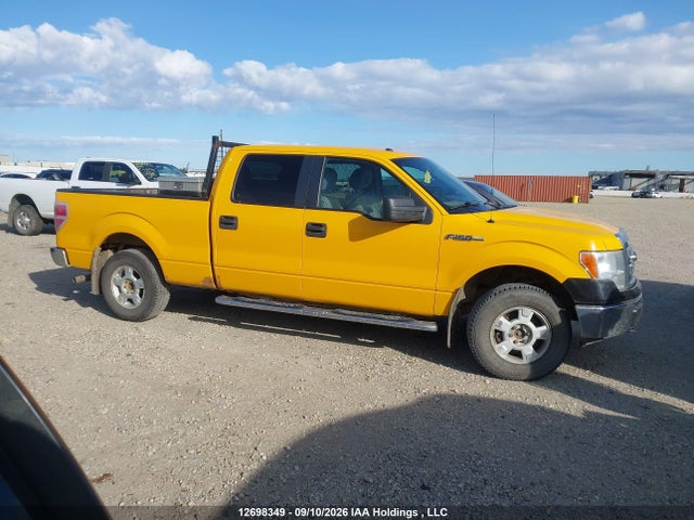 Продажа на аукционе авто 2013 Ford F150 Supercrew, vin: 1FTFW1EF8DKF99946, номер лота: 12698349