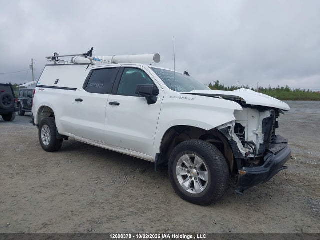 Продажа на аукционе авто 2024 Chevrolet Silverado K1500, vin: 1GCUDAED8RZ382102, номер лота: 12698378