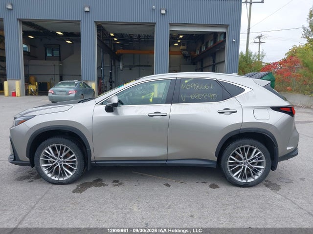 Продажа на аукционе авто 2024 Lexus Nx 350h 350h, vin: 2T2GKCEZ1RC020290, номер лота: 12698661