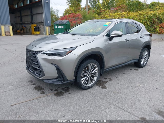 Продажа на аукционе авто 2024 Lexus Nx 350h 350h, vin: 2T2GKCEZ1RC020290, номер лота: 12698661