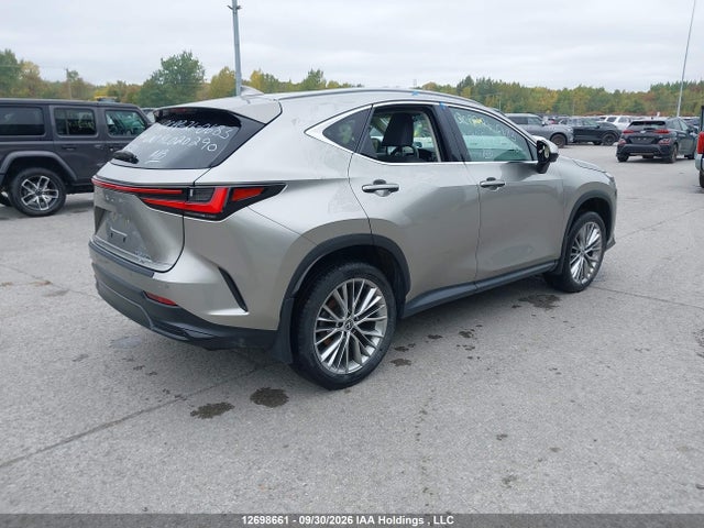 Продажа на аукционе авто 2024 Lexus Nx 350h 350h, vin: 2T2GKCEZ1RC020290, номер лота: 12698661