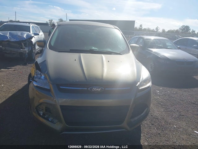 Ford ESCAPE SE 2014 1FMCU0GX2EUA08729 Image 12