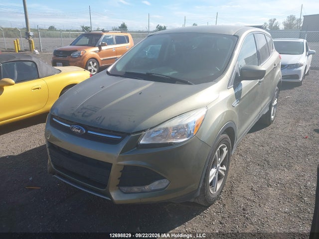 Ford ESCAPE SE 2014 1FMCU0GX2EUA08729 Image 2
