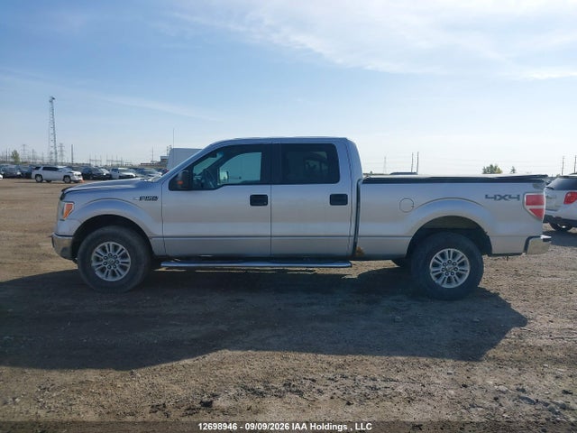 2014 Ford F-150 Xlt მანქანა იყიდება აუქციონზე, vin: 1FTVW1EF4EKD87185, აუქციონის ნომერი: 12698946